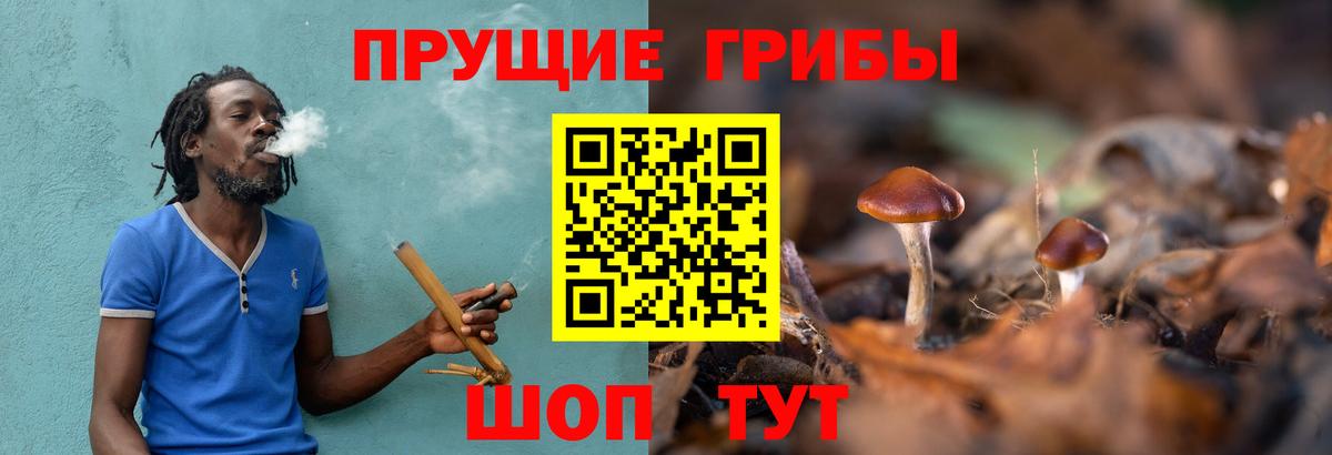 Псилоцибиновые грибы прущие грибы  Псилоцибиновые грибы Psilocybine cubensis  Вход с VPN  Керчь 