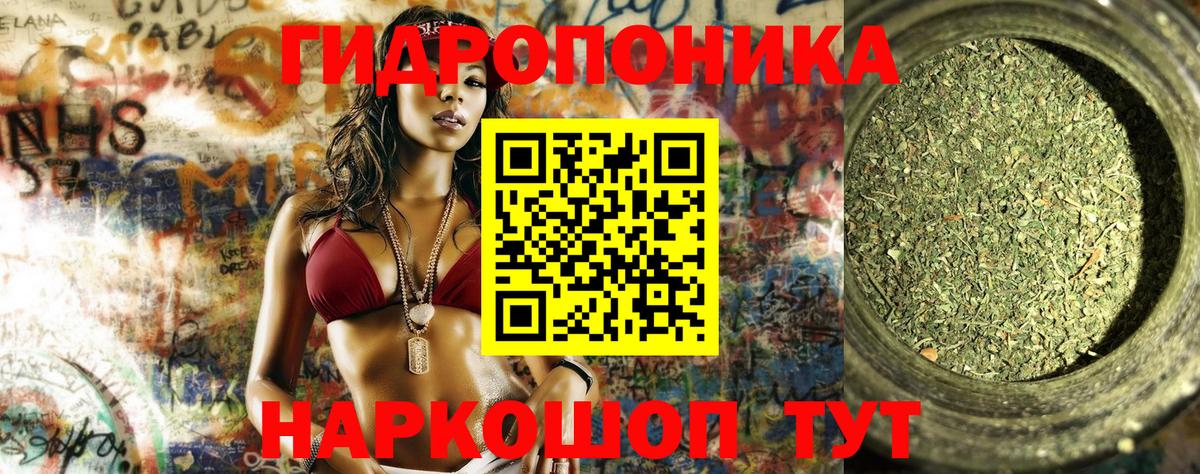 Каннабис сатива  Марихуана марихуана  Вход с VPN  Канабис LSD WEED  Керчь 